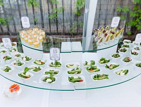 Slovenia Garden Party