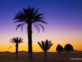Morocco