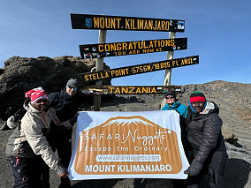 Safari Nuggets Kilimanjaro